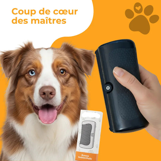 Brosse Sublim’Poils