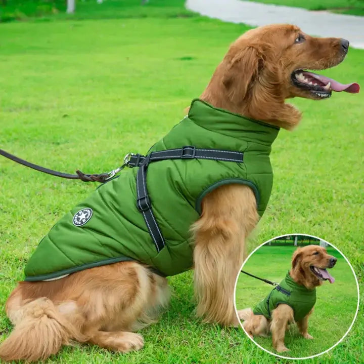 Cappotto per cane con pettorina integrata